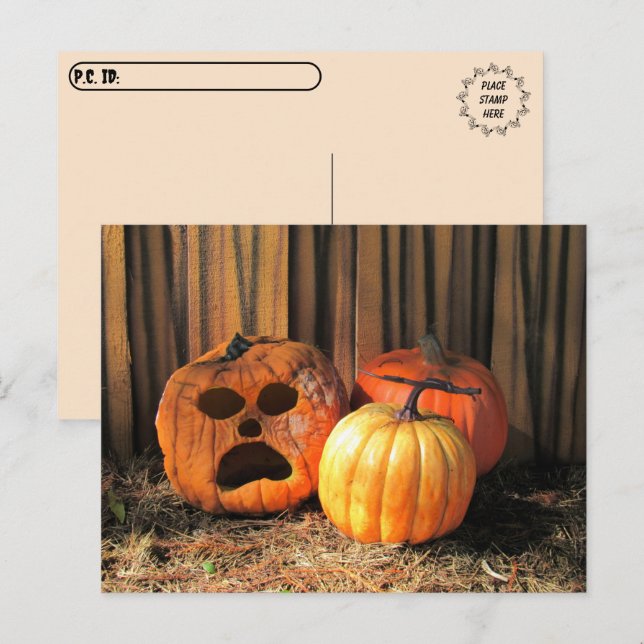 Postpass - Rotten Pumpkins Halloween Postcard Vykort (Fram/baksida)