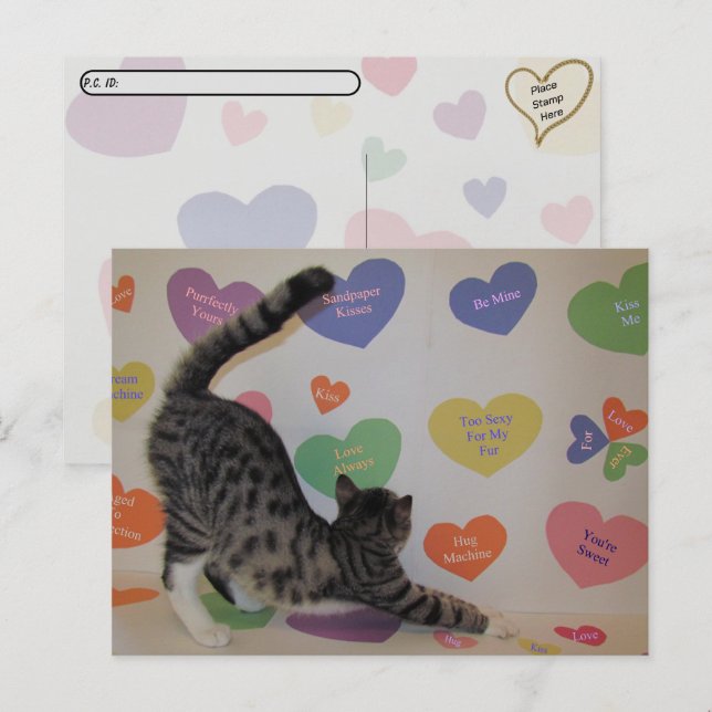 Postpass - Wyatt The Cat's Conversation Hearts Vykort (Fram/baksida)