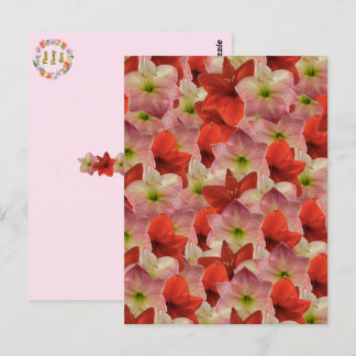 Postpassage - Amaryllis Blommigt Postcard Vykort