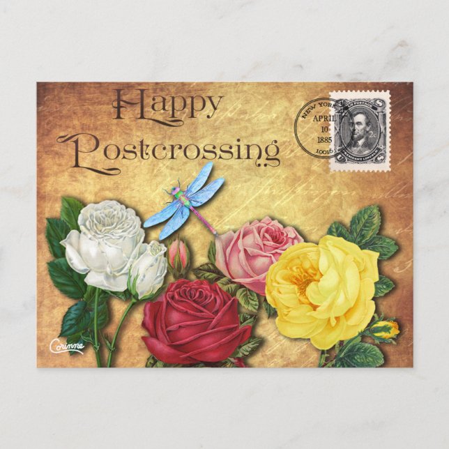 Postpassage Dragonfly - vykort (Framsida)