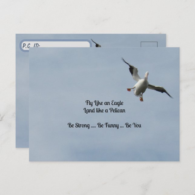 Postpassage ID Box - American White Pelican Vykort (Fram/baksida)