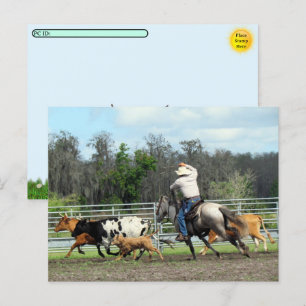 Postpassage - Roundup - Postkort för cowboyen Helg Vykort