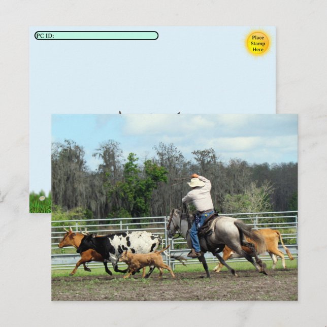 Postpassage - Roundup - Postkort för cowboyen Helg Vykort (Fram/baksida)