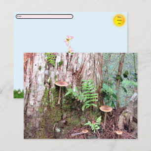 Postpassage - vykort för små svampar