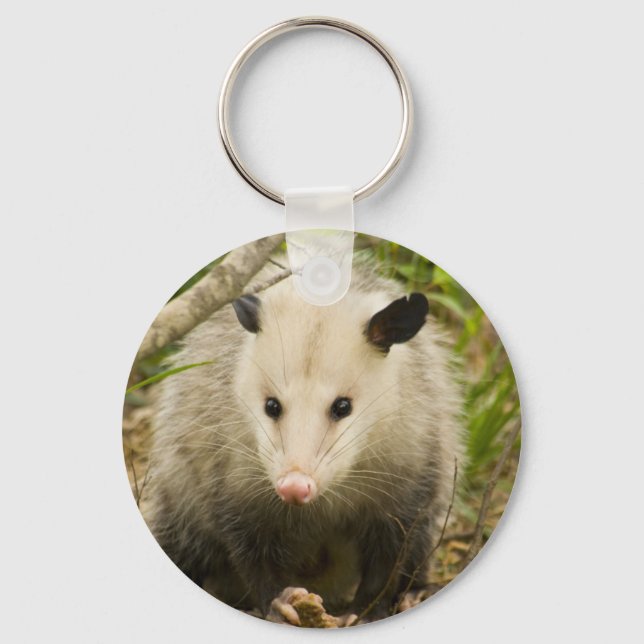 Posumas är Söt - Opossum Didelphimorphia Nyckelring (Framsida)