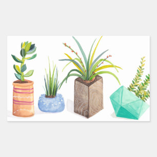 Pot av Succulents Rektangulärt Klistermärke