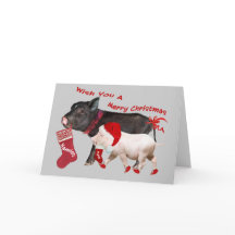 Pot Belly Gris God jul