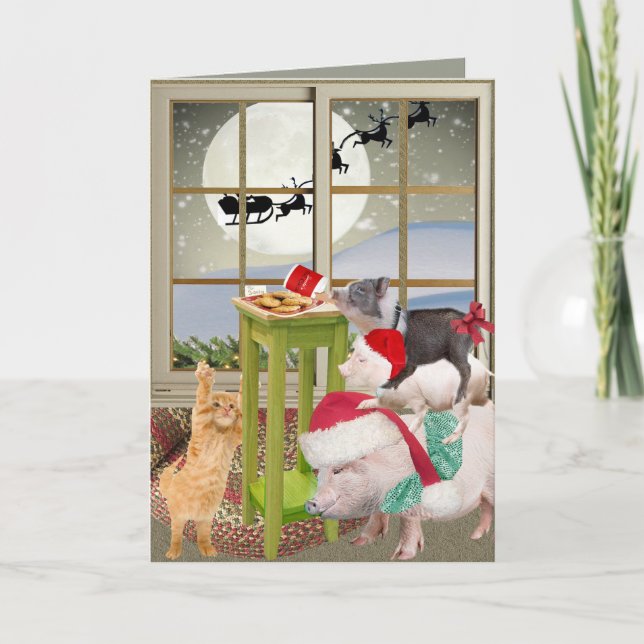 Pot Belly Gris julkort Helgkort (Framsida)