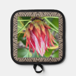 Pot Holder med bedövande Protea