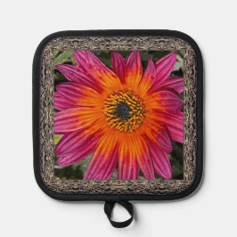 Pot Holder med briljant Magenta Gazania