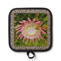 Pot Holder med Lolly Protea