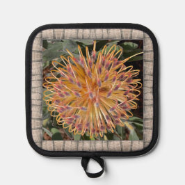 Pot Holder med Lolly Protea