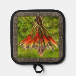 Pot Holder med Orange Aloe Flower