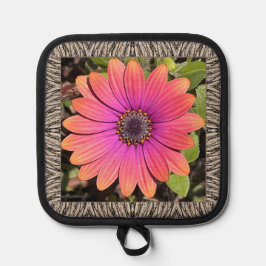 Pot Holder med Stunning Gazania
