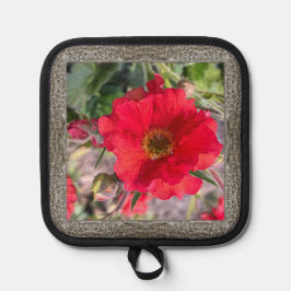 Pot Holder med vackra Röd ros