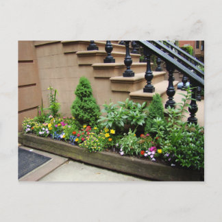 Pot O-problem Vykort