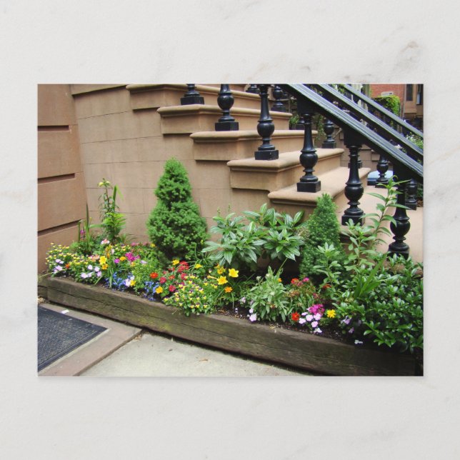 Pot O-problem Vykort (Framsida)