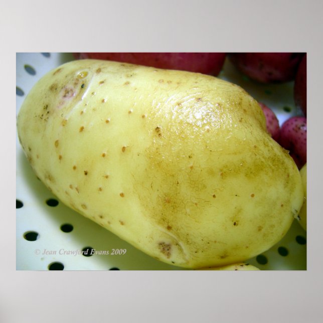 Potatis från Yukon Guld Poster (Framsidan)