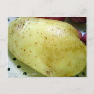 Potatis från Yukon Guld Vykort