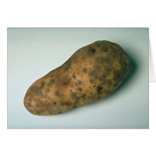 Potatis Hälsningskort