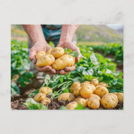 Potatis i Baby, färsk, i Garden Helg Vykort