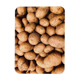 Potatis Magnet