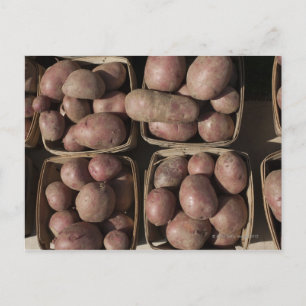 Potatis på en New jersey-jordbrukares marknad Vykort