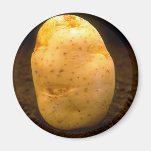 Potatis på smuts magnet