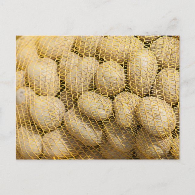 Potatis Vykort (Framsida)
