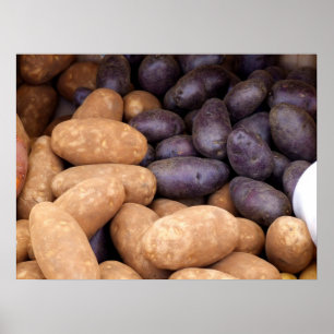 Potatisar Poster