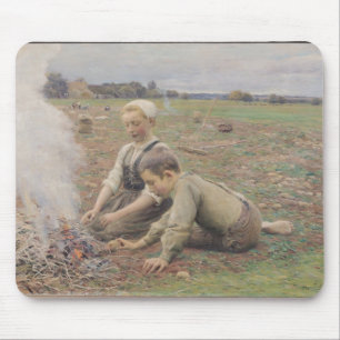 Potatisihopsamlarearna, 1898 musmatta