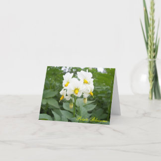 Potato Blommars Notecard Kort