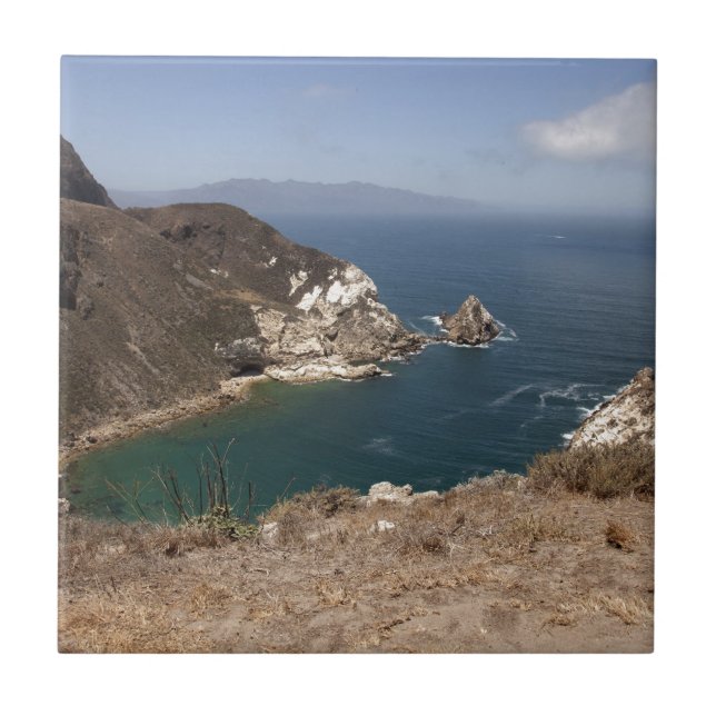 Potato Harbour Kakelplatta (Framsidan)