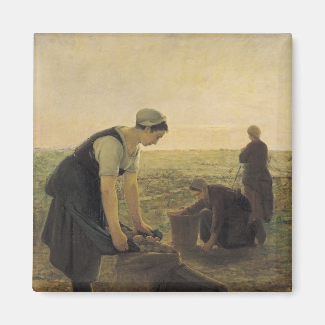 Potato Harvest Magnet (Framsidan)