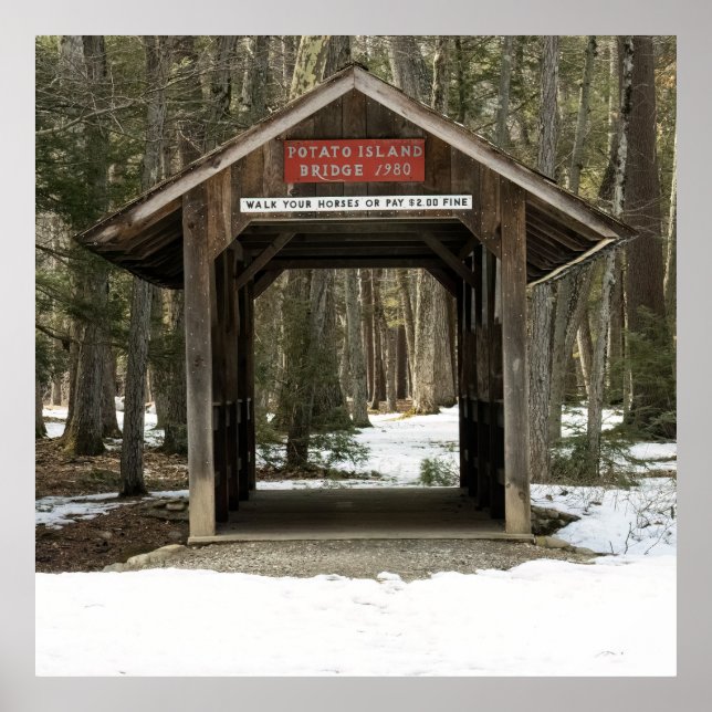 Potato Island Bridge Poster (Framsidan)