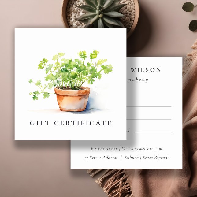 Poted Herb Parsley Coriander Gift Certificate Fyrkantigt Visitkort (Skapare uppladdad)