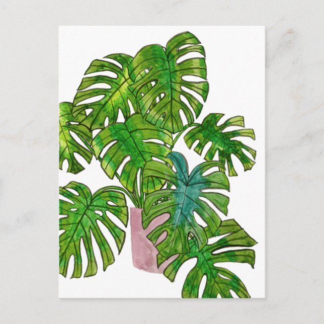 Poted Jungle I Vykort (Framsida)