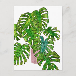 Poted Jungle I Vykort