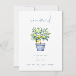 Poted Lemon Träd Vi har flyttat Ny adress Meddelande