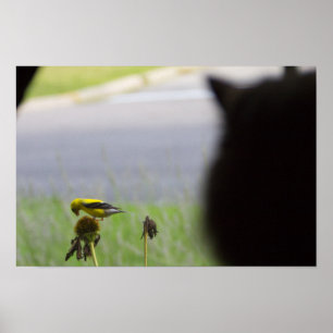 Potential Lunch - Cat and Bird Poster