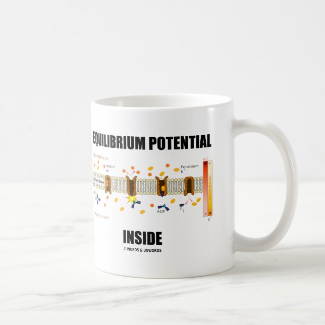 Potentiell insida för Equilibrium (aktivtransport) Kaffemugg (Höger)