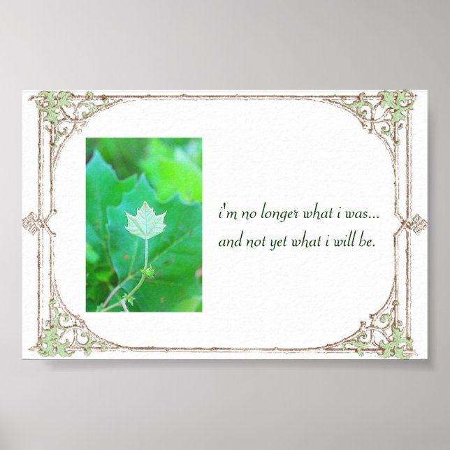 Potentiell Poster (Framsidan)