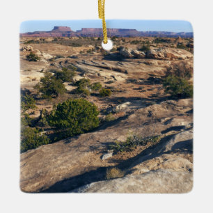 Pothole Point Trail i Canyonlands National Park Julgransprydnad Keramik