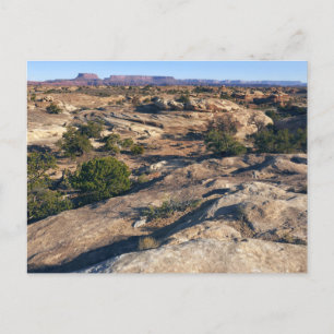 Pothole Point Trail i Canyonlands National Park Vykort