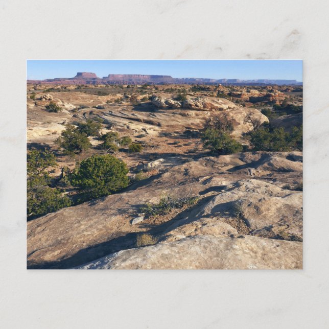 Pothole Point Trail i Canyonlands nationalpark Vykort (Framsida)