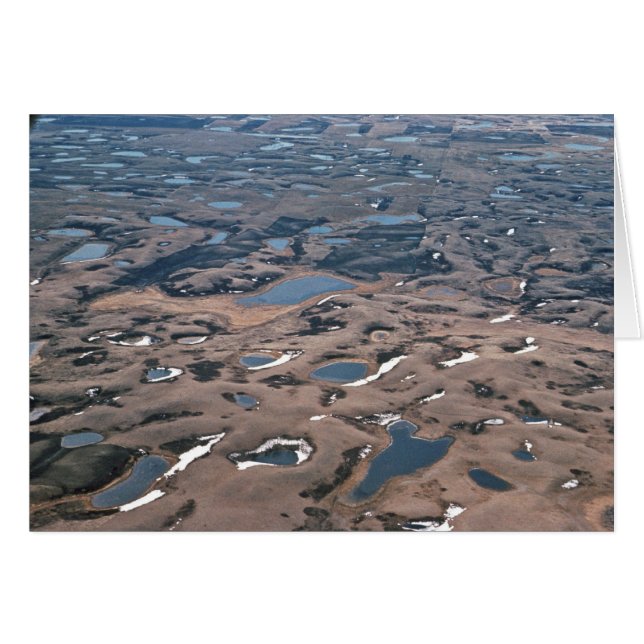 Potholes in Wetlands, (Aerials) Hälsningskort (Framsidan Horizontal)