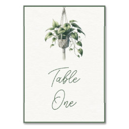 Pothos: Boho Chic Botanical Grey Plant Minimal Bordsnummer