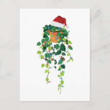 Pothos Hängande växt julhatt julbelysning