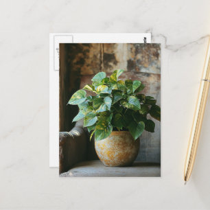 Pothos Plant under ledning av en ordförande Vykort