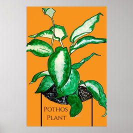 Pothos-växt poster